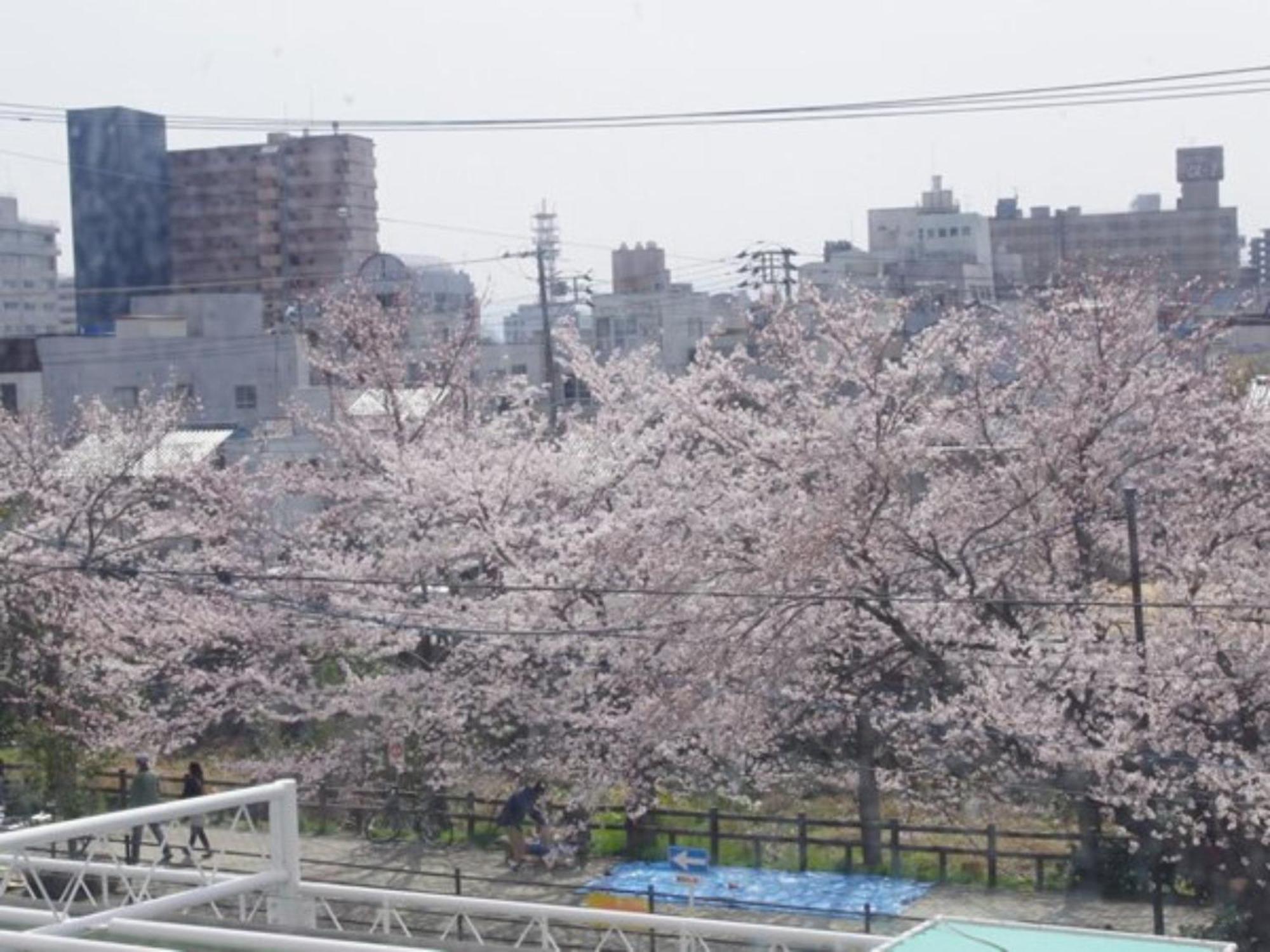 Tottori City Hotel / Vacation Stay 81358 Zewnętrze zdjęcie